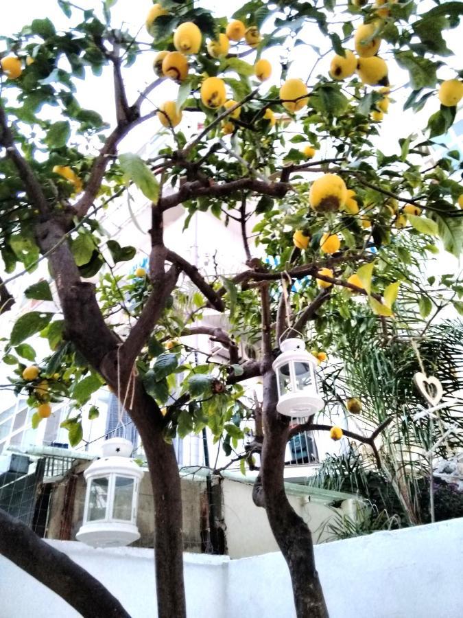 Willkommen In Einem Private Garden Бари Екстериор снимка
