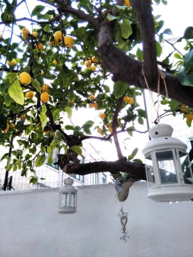 Willkommen In Einem Private Garden Бари Екстериор снимка